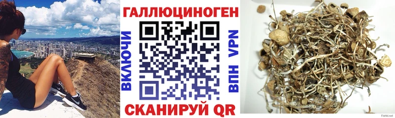Псилоцибиновые грибы мицелий  маркетплейс телеграм  Нытва  блэк спрут зеркало 